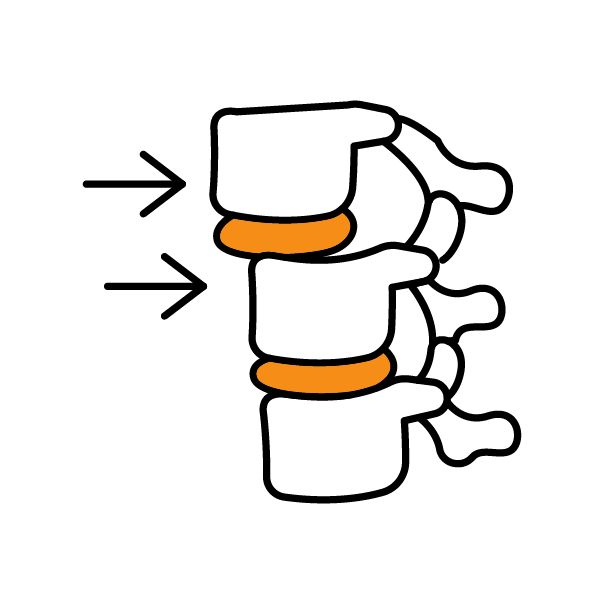 elementy kręgosłupa